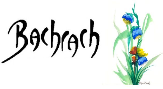 Bachrach Technology